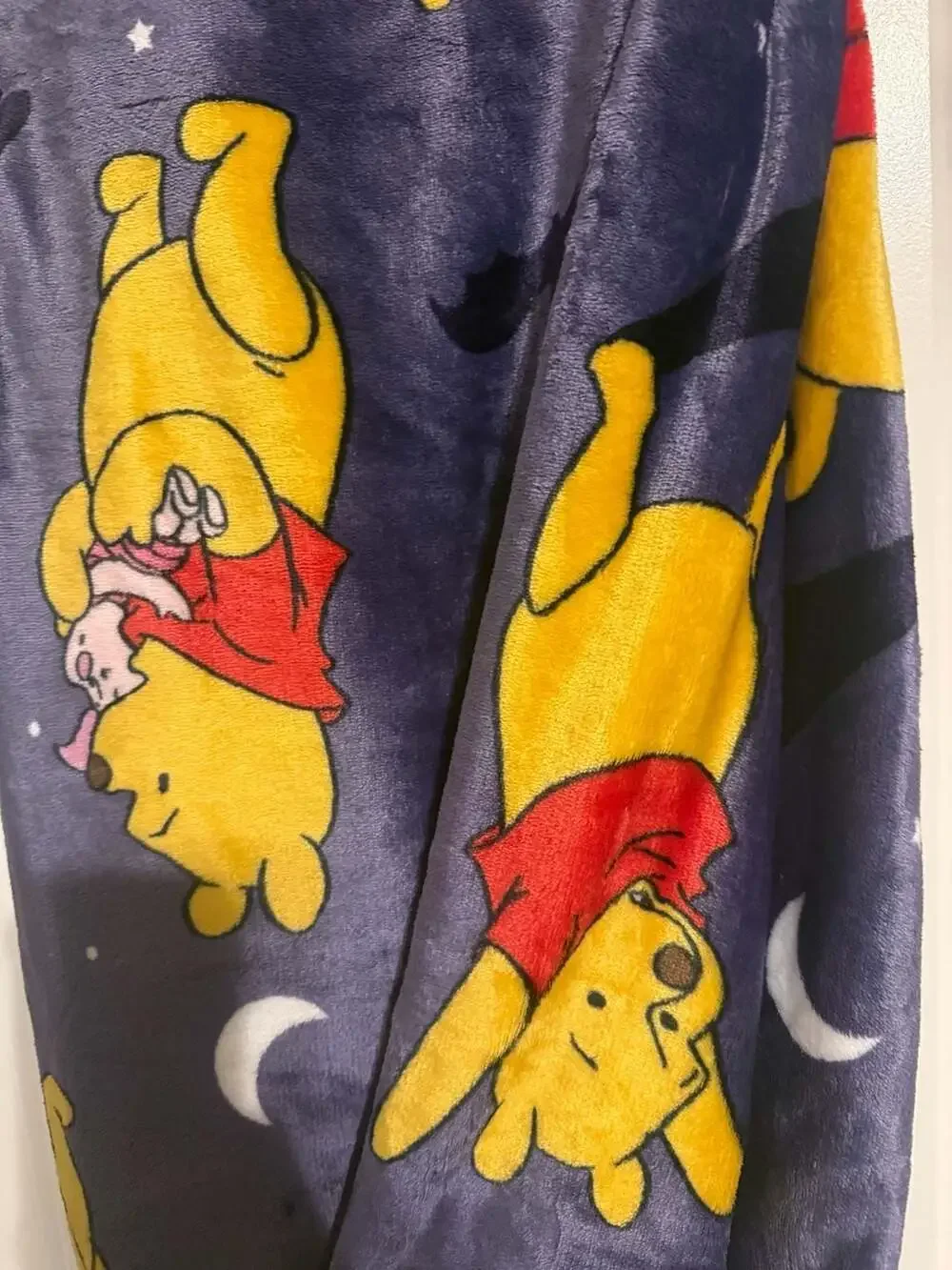 Disney Winnie the Pooh and Piglet Halloween Purple Plush Blanket 50x70
